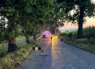 A murit lovit de două mașini după ce a căzut pe carosabil în afara localității