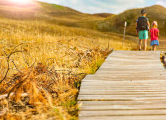 Finanţare de peste 20 de milioane de euro pentru patru rute turistice şi culturale: ruta culelor, ruta curiilor, ruta satelor tradiţionale şi ruta Delta Dunării