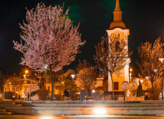 Echinocţiu: Primăvara astronomică începe azi la ora 23.24