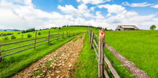 Proiectul Via Transilvanica a câștigat Premiul Publicului în cadrul Premiilor Europene pentru Patrimoniu 2023